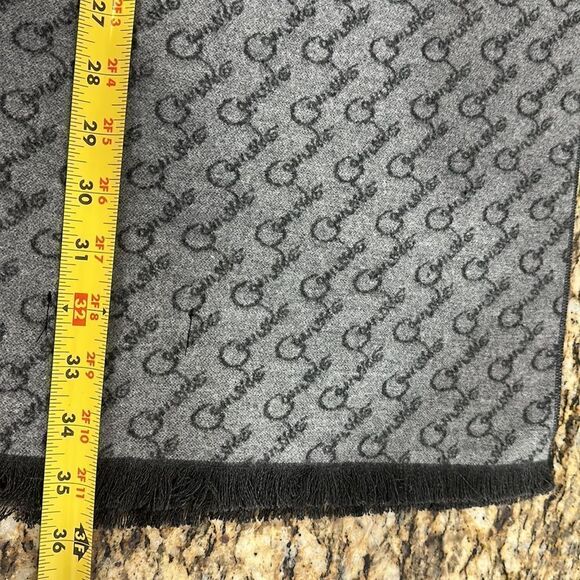 Celine Dion Gray Courage Allover White Print 2019 Tour - Picture 5 of 5